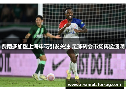 费南多加盟上海申花引发关注 足球转会市场再掀波澜